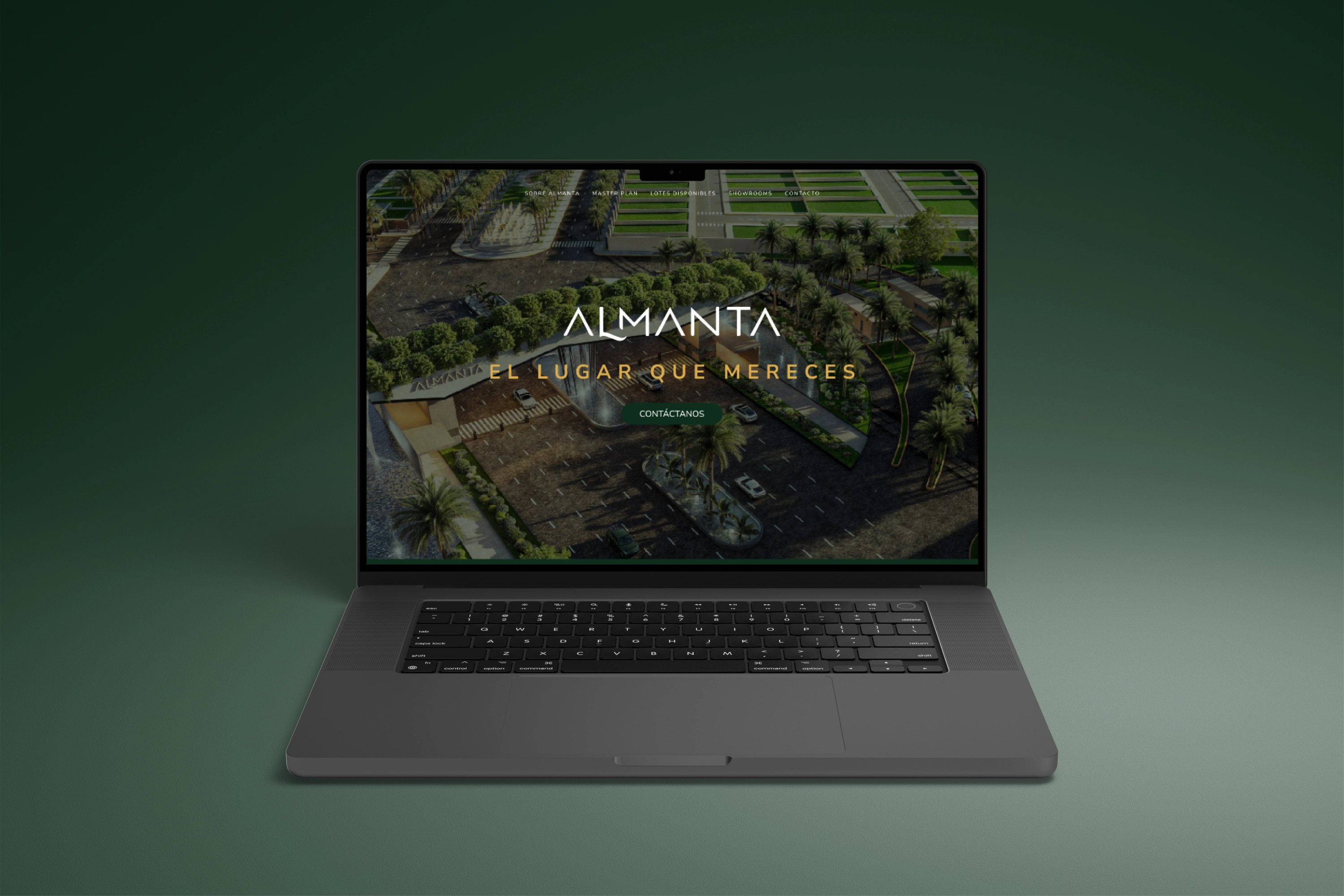 Detalle de grafico en sitio